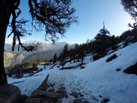 Chopta to Tungnath - Me Versus A Snow Trail