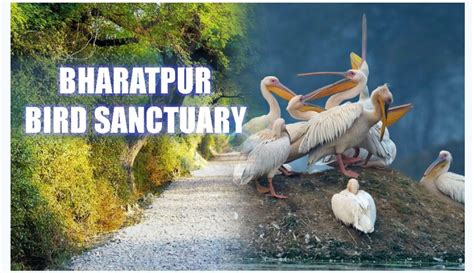 Bharatpur Bird Sanctuary In India Map - United States Map