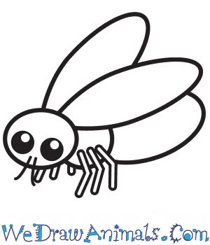 How to Draw a Simple Fly for Kids