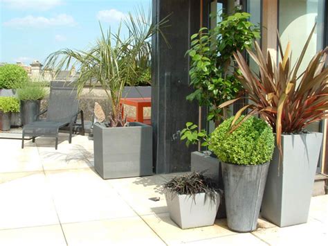 Contemporary Urban Rooftop Garden Design