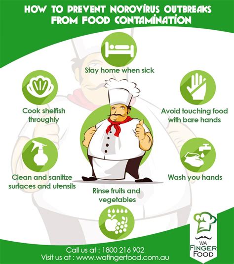 How To Prevent Norovirus Outbreaks from Food Contamination Infographic ...