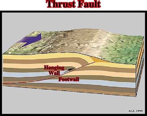 thrust fault - a reverse fault on which the dip angle of the fault ...