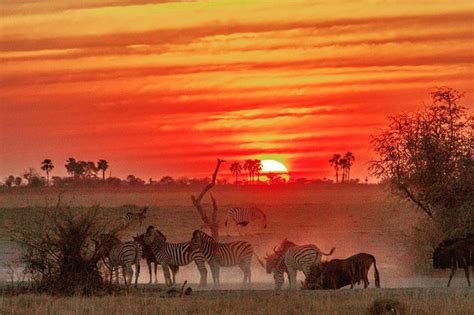 5 best safari sundowner spots in Botswana - Africa Geographic