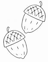 Acorn Coloring Pages Free Printable PDF sketch template