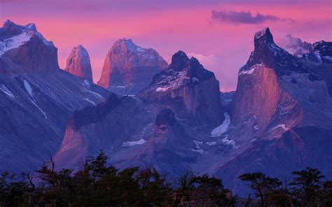 nature, Landscape, Patagonia, Sunrise, Mountain, Torres Del Paine, Chile, Forest Wallpapers HD ...