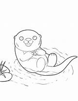 Free Printable Otter Coloring Pages Pdf  Coloringfoldercom Baby sketch template