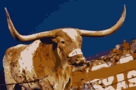 Texas Bevo Color 16 Photograph by Scott Kelley