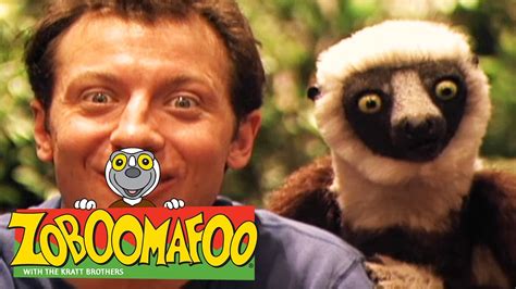 🐒 Zoboomafoo 🐒 127 | Fast and Slow - Full Episode | Kids TV Shows - YouTube