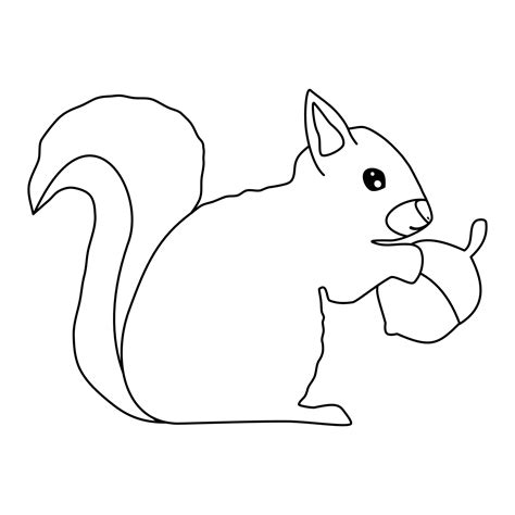 cute cartoon character black and white squirrel with nuts vector illustration for coloring art ...