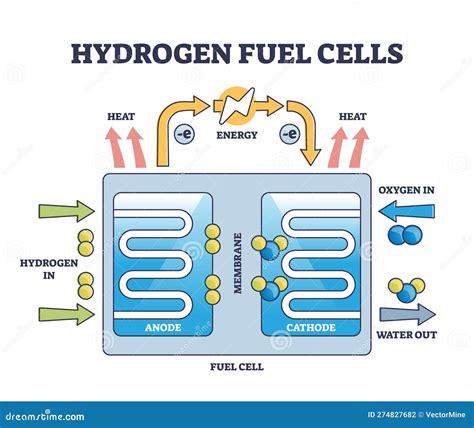 Hydrogen Fuel Cells Work Principle with Educational Structure Outline ...