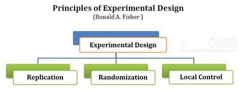 Experimental Designs in Statistics | EasyBiologyClass