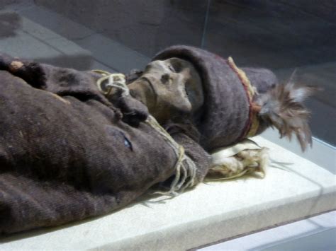 The Tarim mummies are a series of apparently Caucasian mummies ...