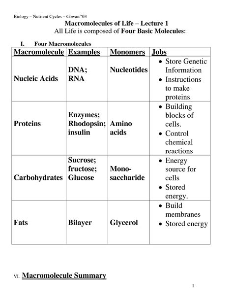 15 Biological Molecules Worksheet / worksheeto.com