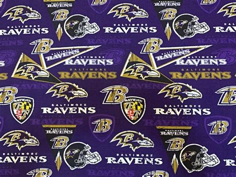 NFL Baltimore Ravens 70249 Purple 45