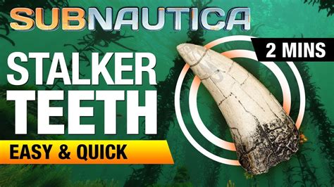 How to get Stalker Teeth | SUBNAUTICA - YouTube