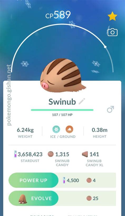 Swinub - Pokemon Go