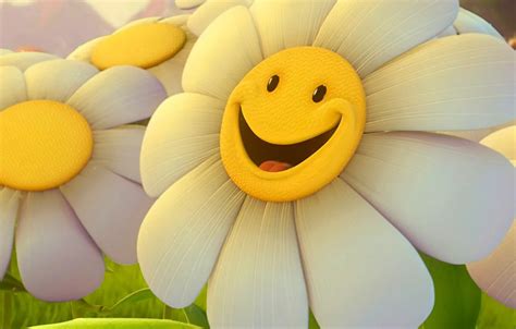 Wallpaper flower, smile, Daisy images for desktop, section настроения ...