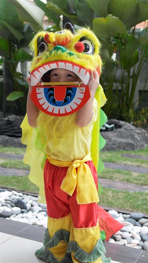 Fluene's Corner: Mini Lion Dance | Chinese lion dance, Lion dance, Lion dance costume