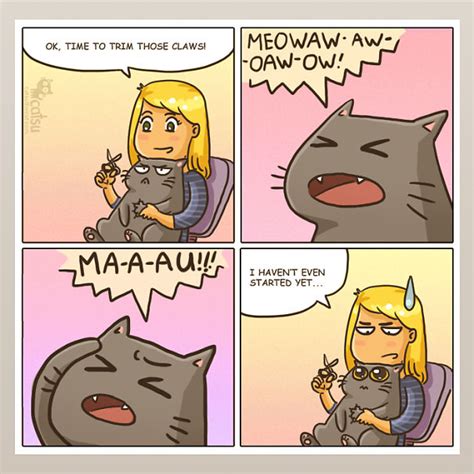 101 Comics That Purrfectly Capture Life With Cats | Bored Panda