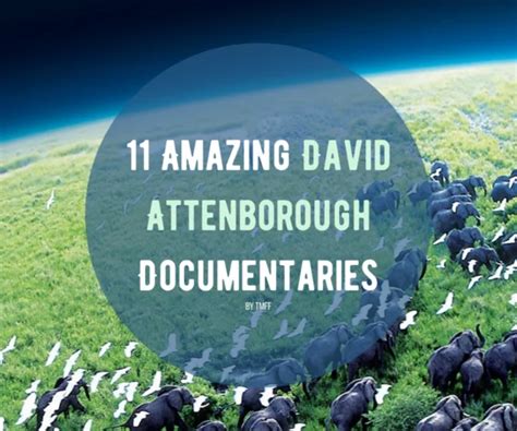 11 Amazing David Attenborough Documentaries | The Monthly Film Festival