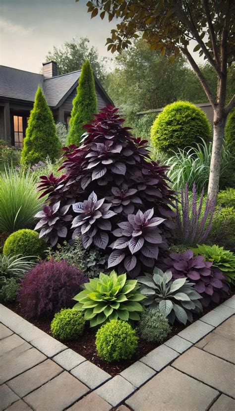 15+ Unique Shrubbery Landscaping Ideas for Instant Garden Charm (2024)