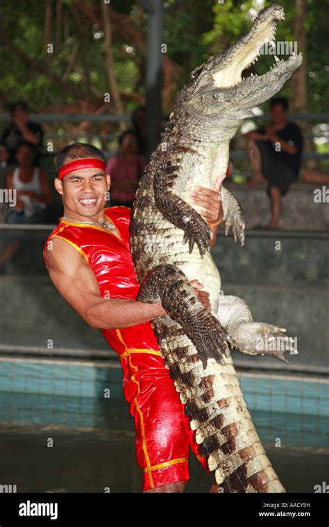 Crocodile Farm Pattaya Thailand Stock Photo - Alamy