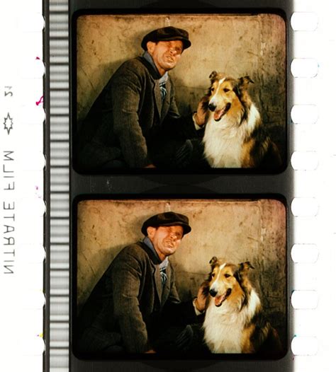 Lassie Come Home (1943) | Timeline of Historical Film Colors