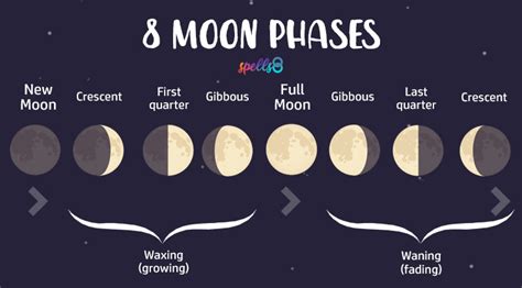 Moon Magic: Spells for Every Lunar Phase – Spells8