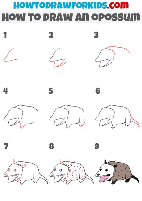 How To Draw A Possum - Artistrestaurant2