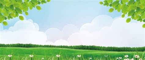 Park Background PNG, Vector, PSD, and Clipart With Transparent ...