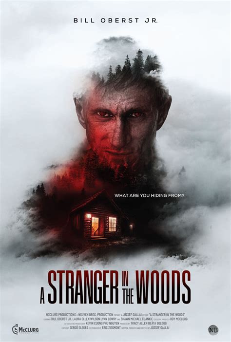 A Stranger in the Woods (2024) - Posters — The Movie Database (TMDB)