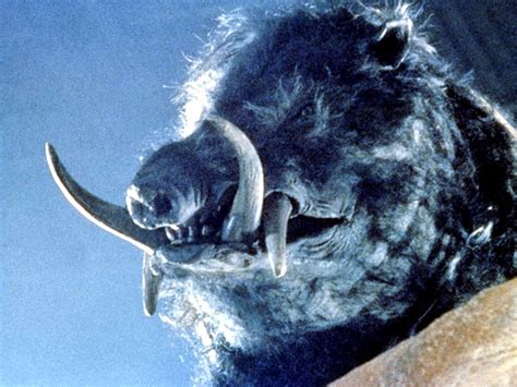 Seven classic animal attack movies you’ve never heard of - Little White ...