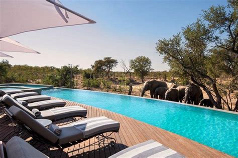 ANDBEYOND NGALA SAFARI LODGE - Updated 2022 (Ngala Private Game Reserve ...