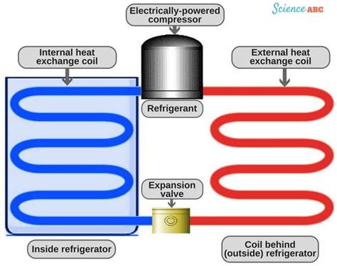 Refrigerator Working Principle: How Does A Refrigerator (Fridge) Work?