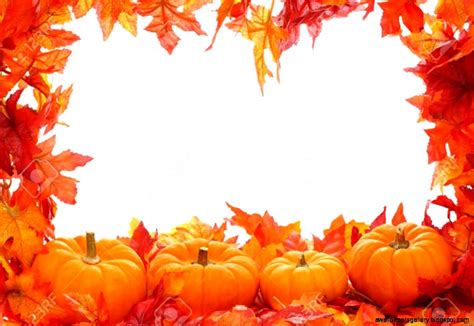 Fall Leaves And Pumpkins Background | Wallpapers Gallery