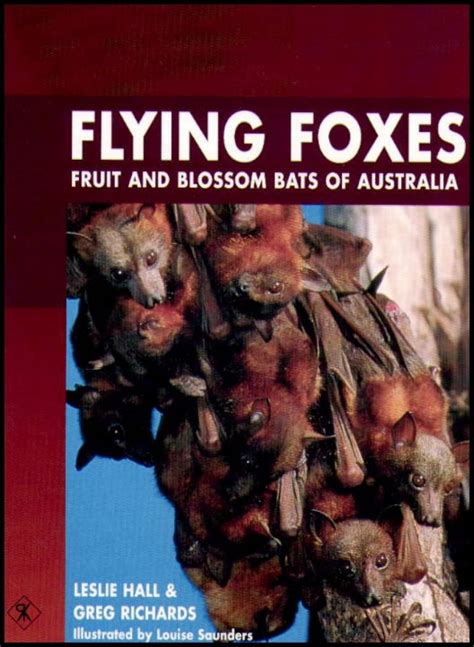 Flying Foxes: Fruit and Blossom Bats of Australia - Nokomis