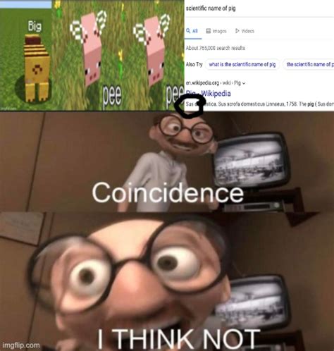 coincidence? I THINK NOT - Imgflip