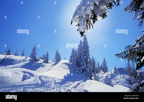 Bavaria : landscape - snow Stock Photo - Alamy