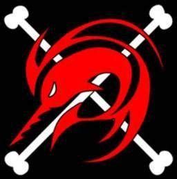 Sun Pirates Logo