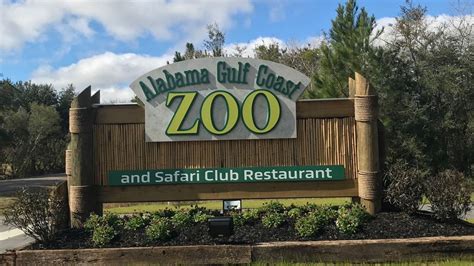 Alabama Gulf Coast Zoo reopens with health safety guidelines in place