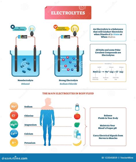 Electrolytes Test Vector Illustration. Body Fluid Labeled Diagram ...