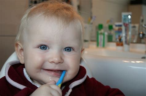 How to Take Care of Baby Teeth | Dentist Clinic | Healthcare