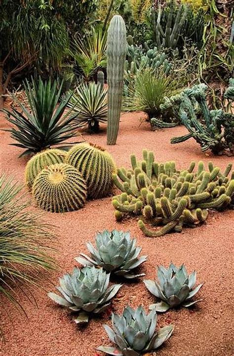 Great Southwest Landscape Design : Southwest Landscape Design Ideas ...