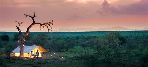 Tanda Tula Fieldcamp, Timbavati, Kruger Park | Explorers Club