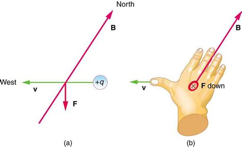 5.3 Magnetic Field Strength: Force on a Moving Charge in a Magnetic ...