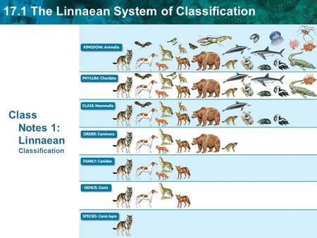 Class Notes 1: Linnaean Classification>