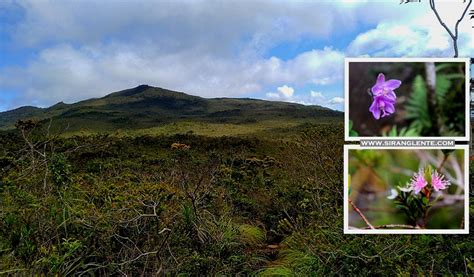 SIRANG LENTE: Mt. Hamiguitan, the beauty of a UNESCO World Heritage Site