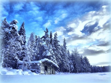 Cabin in Winter Forest - Image Abyss