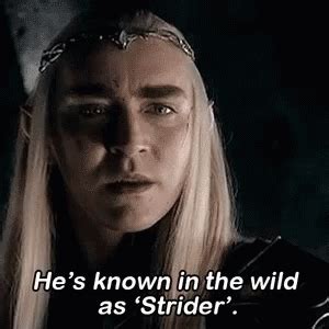 Thranduil Lord Of The Rings GIF – Thranduil Lord Of The Rings Strider – otkrijte i dijelite GIF-ove