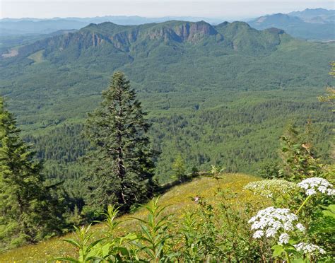 GC70JQD 10 - Humbug Mountain Summit (Traditional Cache) in Oregon, United States created by Seawind